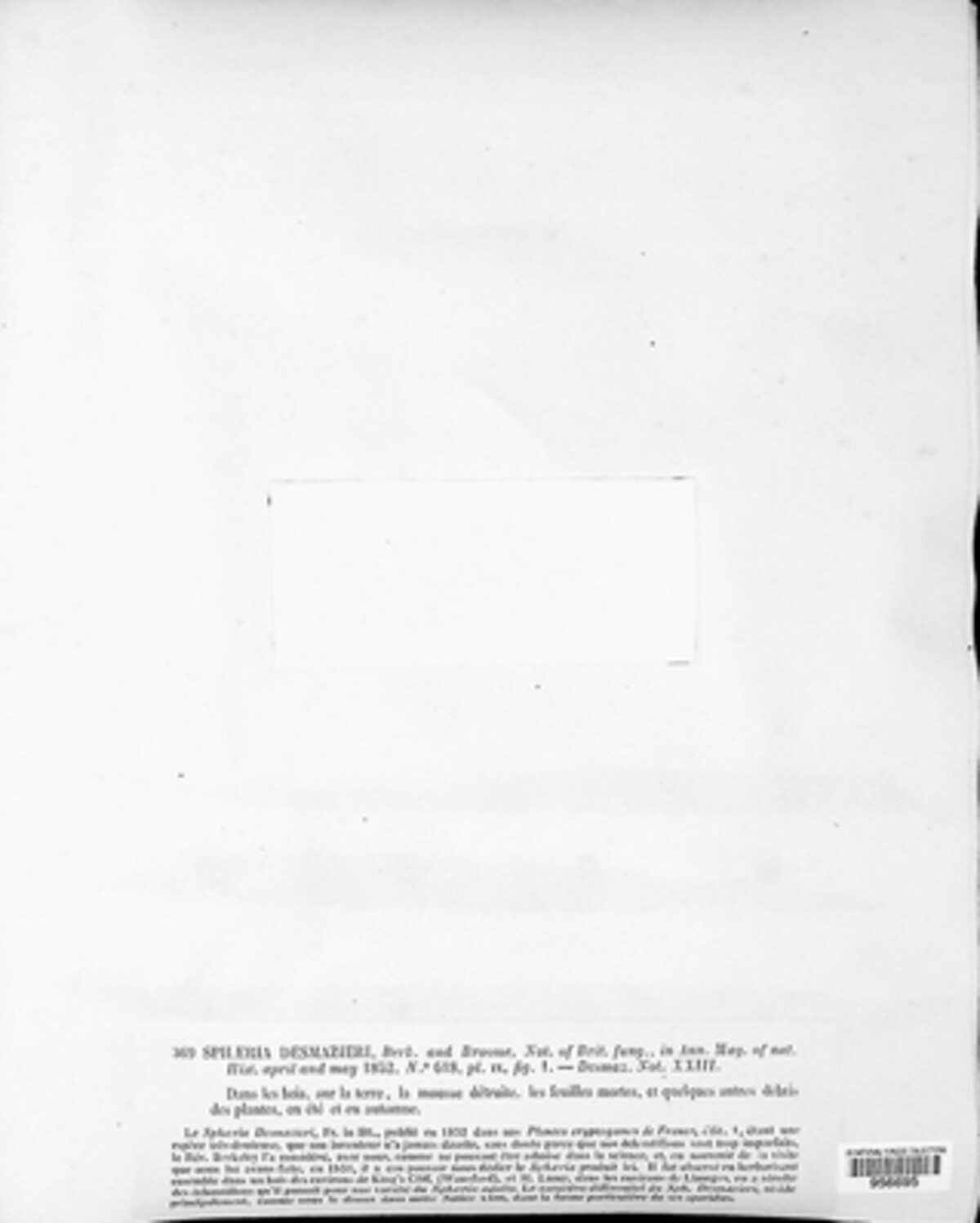 Rosellinia desmazieri image